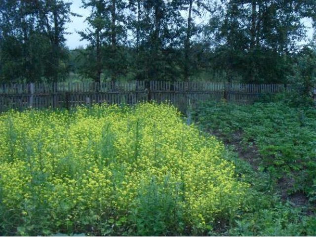 Продам ухоженный садовый участок с домиком в городе Воскресенск, фото 2, Московская область