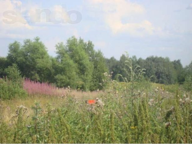 20 соток в селе Нила в городе Переславль-Залесский, фото 3, Продажа земли под сад и огород