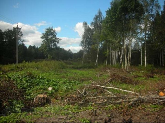 Продается участок в пос. Дзержинского, Лужский район. в городе Луга, фото 2, Продажа земли под сад и огород