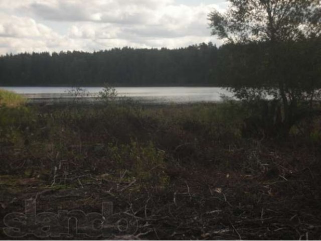 Продается участок в пос. Дзержинского, Лужский район. в городе Луга, фото 3, Ленинградская область