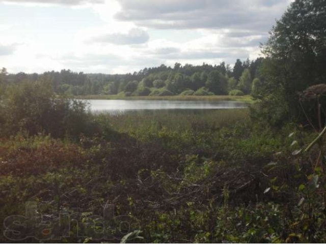 Продается участок в пос. Дзержинского, Лужский район. в городе Луга, фото 5, Продажа земли под сад и огород