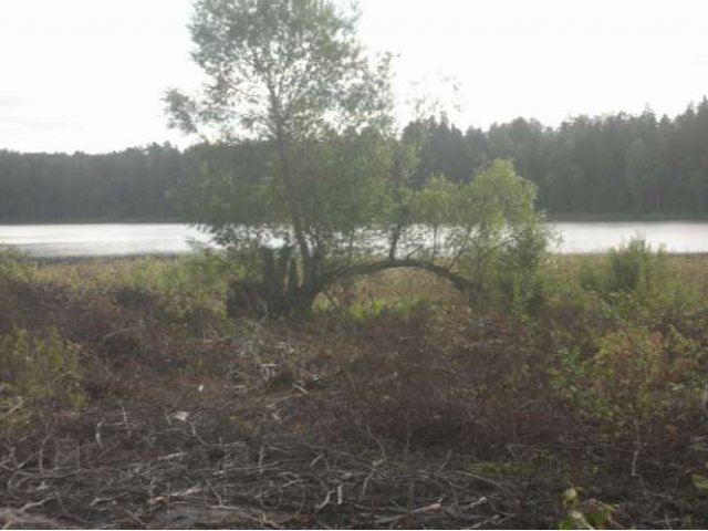 Продается участок в пос. Дзержинского, Лужский район. в городе Луга, фото 6, Ленинградская область