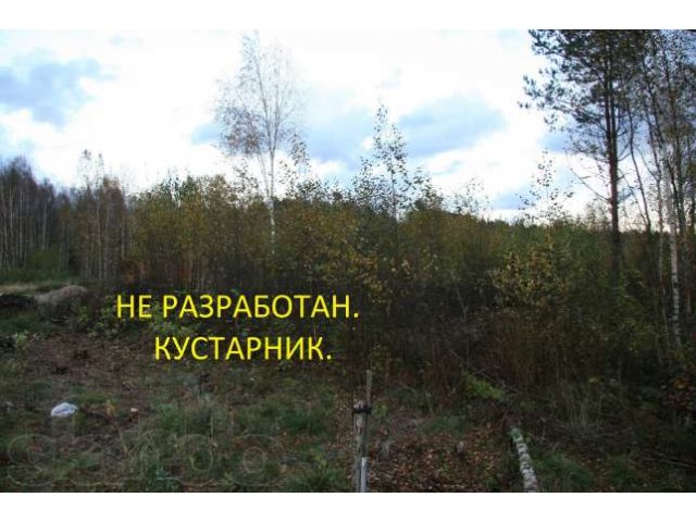 Продается хороший, ровный участок в садоводстве. в городе Выборг, фото 2, Ленинградская область