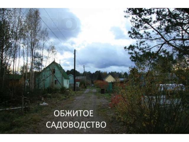 Продается хороший, ровный участок в садоводстве. в городе Выборг, фото 5, Ленинградская область