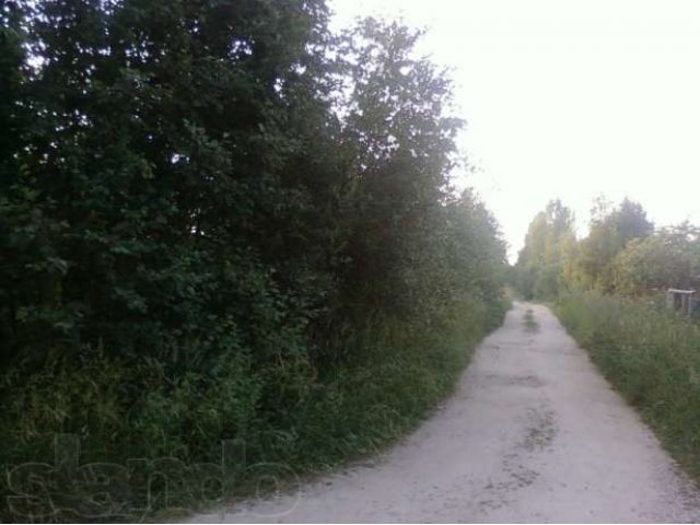 Участок в массиве Мшинская в городе Луга, фото 2, Ленинградская область