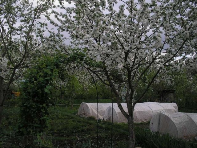 Земельный участок в садоводческом товариществе Ленинского района в городе Нижний Новгород, фото 2, Нижегородская область