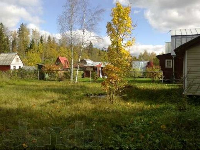 6 соток у леса с баней. Рядом ж/д станция. в городе Троицк, фото 4, Московская область