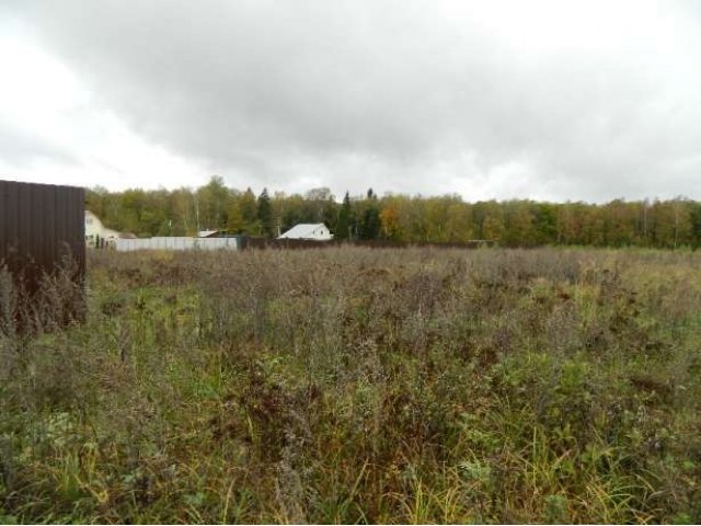 д.Арнеево 10 соток в городе Серпухов, фото 3, Продажа земли под сад и огород