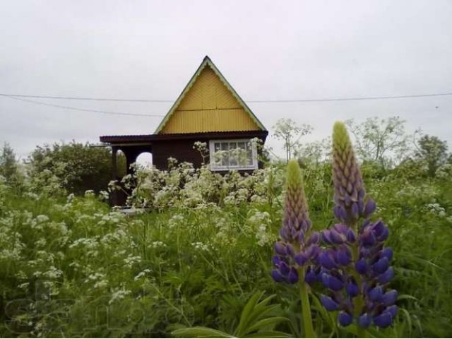 Дачный участок в городе Кингисепп, фото 2, Ленинградская область