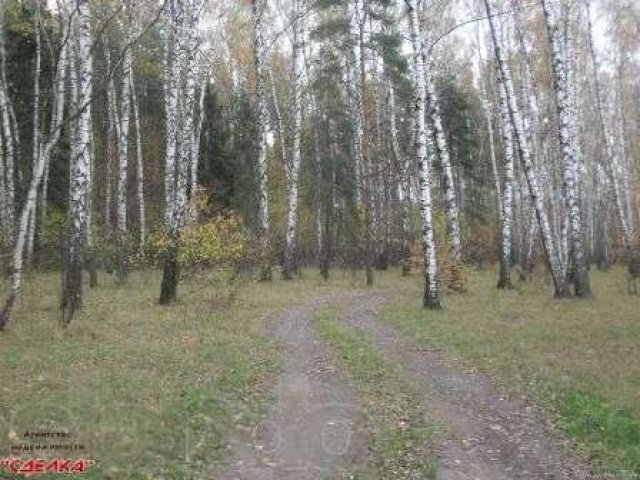 Земельный участок, с.Сынково в городе Подольск, фото 1, стоимость: 1 400 000 руб.