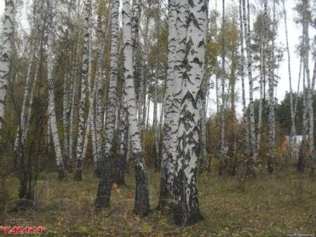 Земельный участок, с.Сынково в городе Подольск, фото 7, стоимость: 1 400 000 руб.