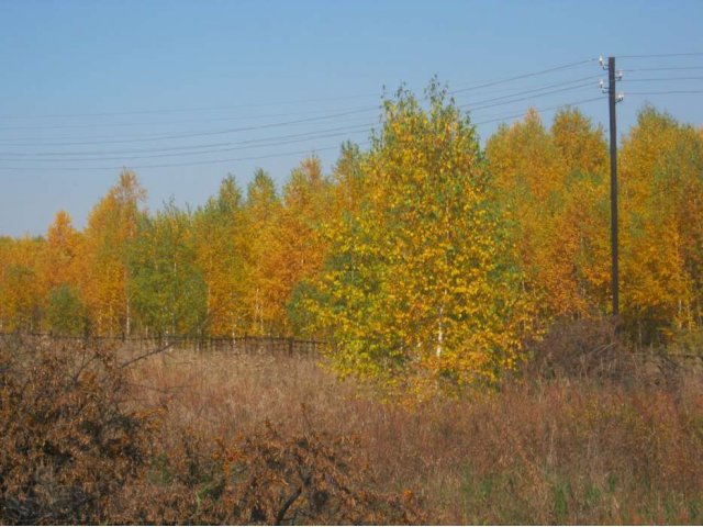 Продам дачный участок за п.Криводановка.Не далеко Кудряшовский бор,рек в городе Новосибирск, фото 3, стоимость: 260 000 руб.