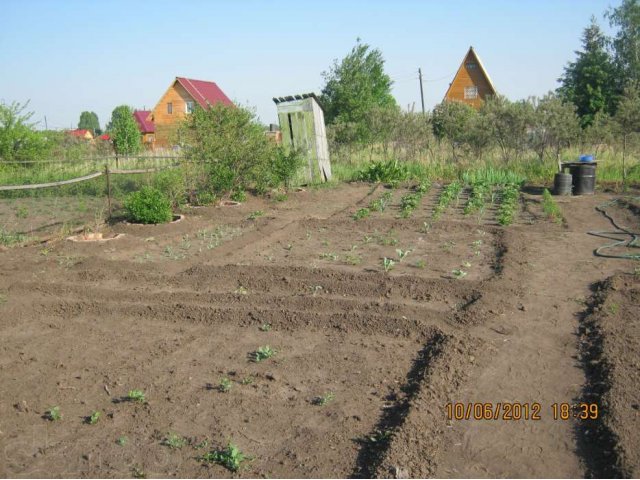 Продам дачный участок за п.Криводановка.Не далеко Кудряшовский бор,рек в городе Новосибирск, фото 4, Продажа земли под сад и огород