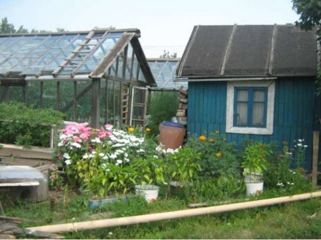 Продам сад Огородник в В-Пышме в черте города в городе Верхняя Пышма, фото 3, Свердловская область