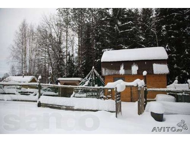 Продам дачу в Толмачево в городе Луга, фото 2, Ленинградская область