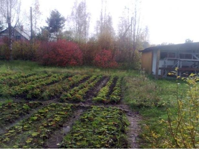 Участок в Ваганово с гаражом в городе Всеволожск, фото 2, Ленинградская область