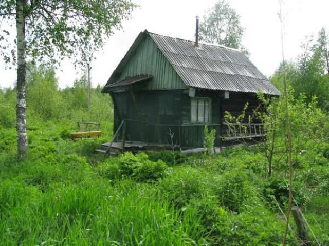 Участок в СНТ Рассвет, 8 сот. в городе Приозерск, фото 1, Ленинградская область