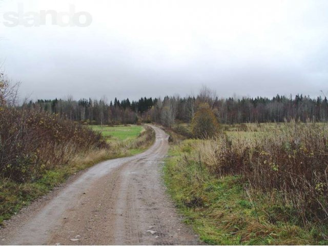 Продаётся участок в Свекловичном, садоводство Кристалл. в городе Выборг, фото 4, Продажа земли под сад и огород