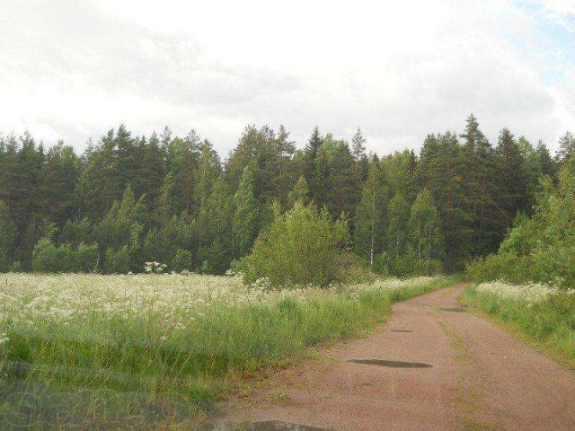 Продаётся участок в Свекловичном, садоводство Кристалл. в городе Выборг, фото 6, стоимость: 240 000 руб.