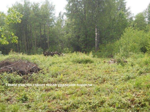 Продаётся участок в Каменке, Выборгский район. в городе Выборг, фото 1, стоимость: 470 000 руб.