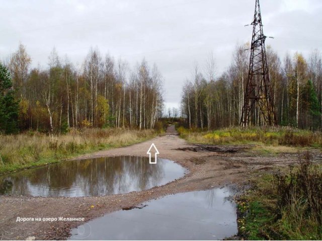 Продаётся участок в Каменке, Выборгский район. в городе Выборг, фото 3, Ленинградская область