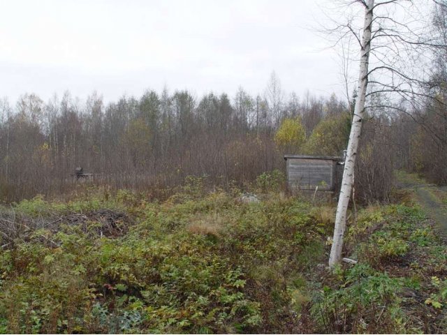 Продаётся участок в Каменке, Выборгский район. в городе Выборг, фото 5, Продажа земли под сад и огород