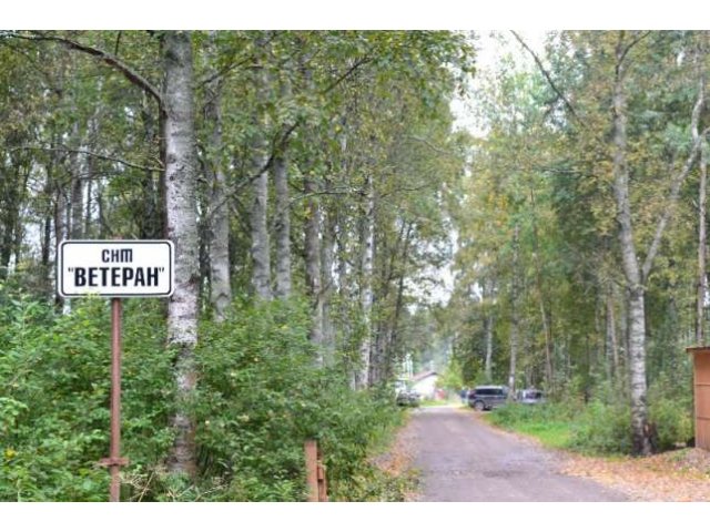 Участок 10 соток Зеленогорск-Ушково в городе Санкт-Петербург, фото 2, Ленинградская область