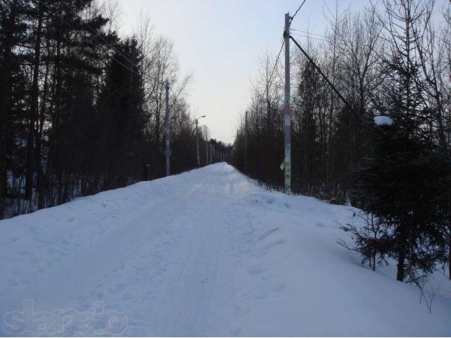 Участок с соснами в городе Санкт-Петербург, фото 2, стоимость: 480 000 руб.