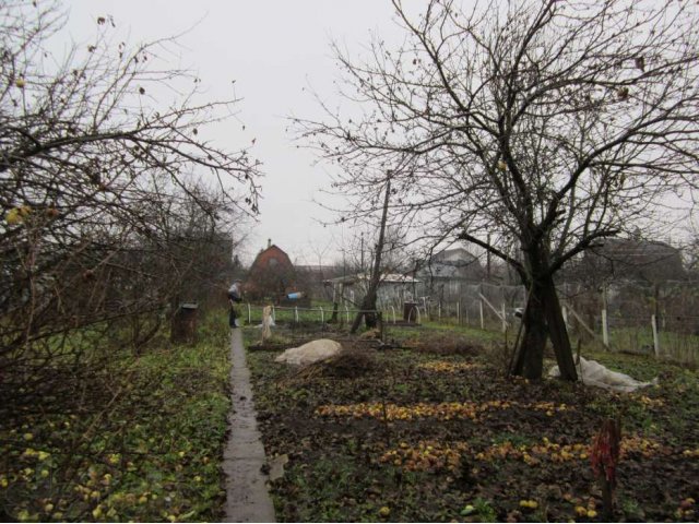 Участок в садоводстве в городе Гатчина, фото 3, Продажа земли под сад и огород