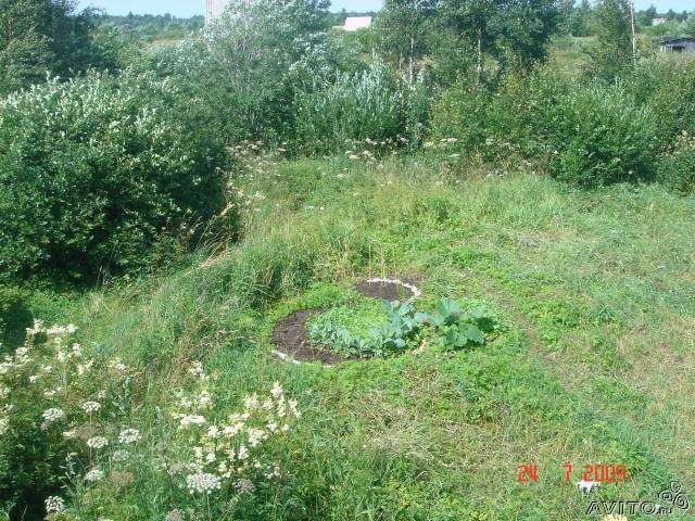 12 соток Заполье Кингисепп в городе Кингисепп, фото 3, Ленинградская область