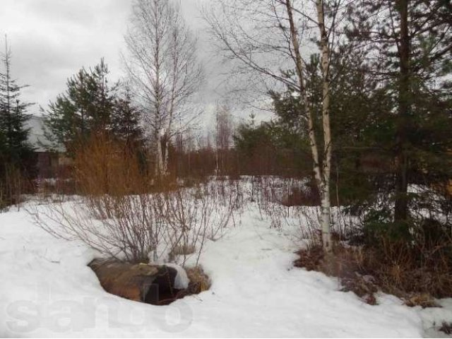 Участок 10 соток СНТРохма Нижние Осельки в городе Санкт-Петербург, фото 1, стоимость: 1 100 000 руб.