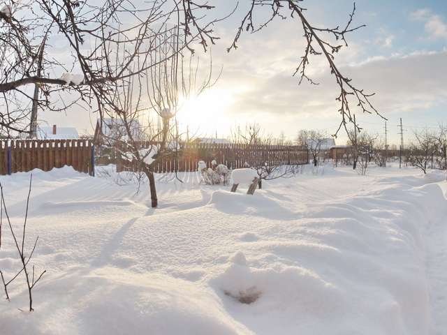 Каширское шоссе, 35 км от МКАД, СТ «Петух», участок 4 сотки в городе Домодедово, фото 3, стоимость: 1 500 000 руб.