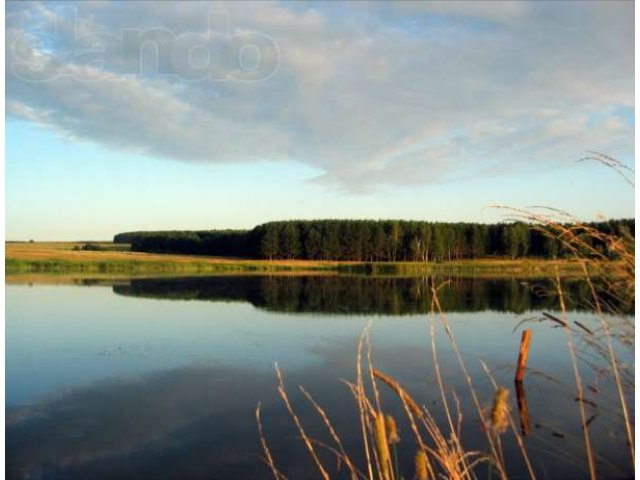 Продам участок Дальне-Константиновский район в городе Нижний Новгород, фото 2, Нижегородская область