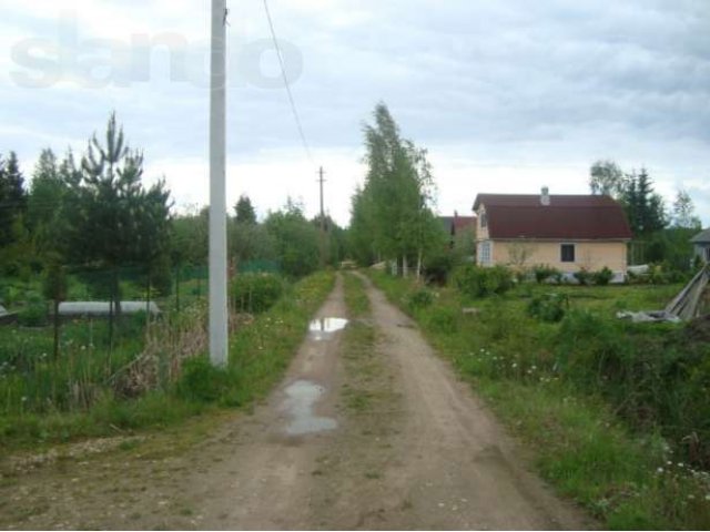 Участок в садоводстве пос. Чаща (Гатчинский р-н) в городе Гатчина, фото 1, Продажа земли под сад и огород