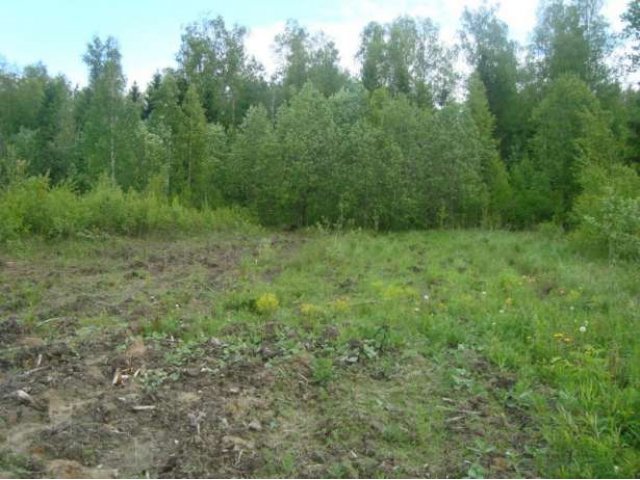 Участок в садоводстве пос. Чаща (Гатчинский р-н) в городе Гатчина, фото 2, Ленинградская область