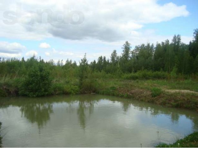 Участок в садоводстве пос. Чаща (Гатчинский р-н) в городе Гатчина, фото 4, Продажа земли под сад и огород