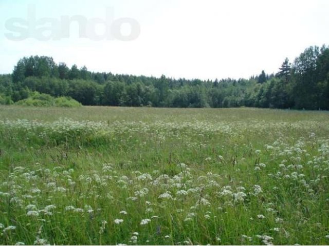 Продается участок СНТ пос. Мельниково. в городе Приозерск, фото 1, стоимость: 1 600 000 руб.