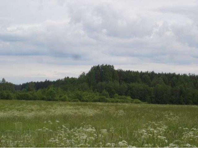 Продается участок СНТ пос. Мельниково. в городе Приозерск, фото 2, Продажа земли под сад и огород