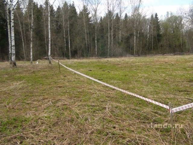 Участок в  Вырице сад-во в городе Гатчина, фото 2, стоимость: 300 000 руб.