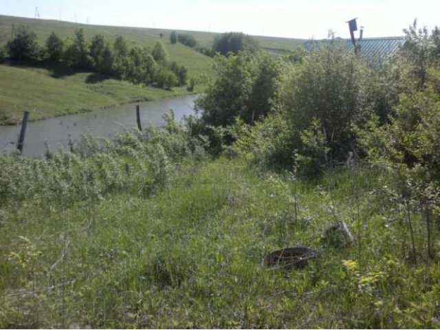 Первая линия от озера,с/о Медик,д.Шихазда в городе Казань, фото 3, Татарстан