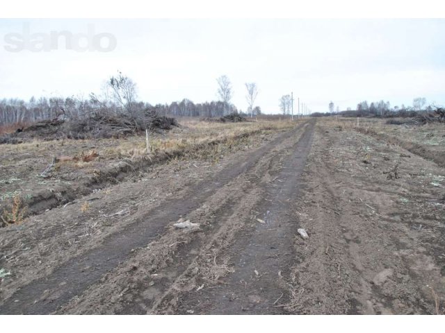 Дачный участок в городе Новосибирск, фото 2, Новосибирская область