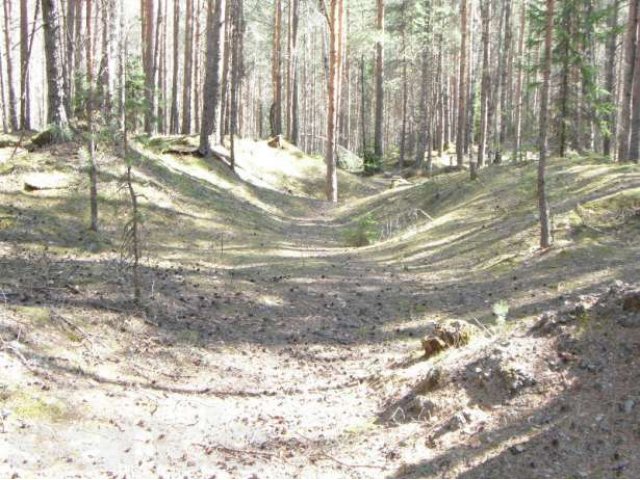 Отличный угловой участок в городе Санкт-Петербург, фото 2, стоимость: 850 000 руб.