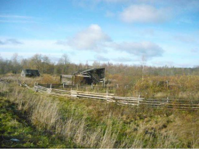 Участок в городе Санкт-Петербург, фото 6, стоимость: 250 000 руб.