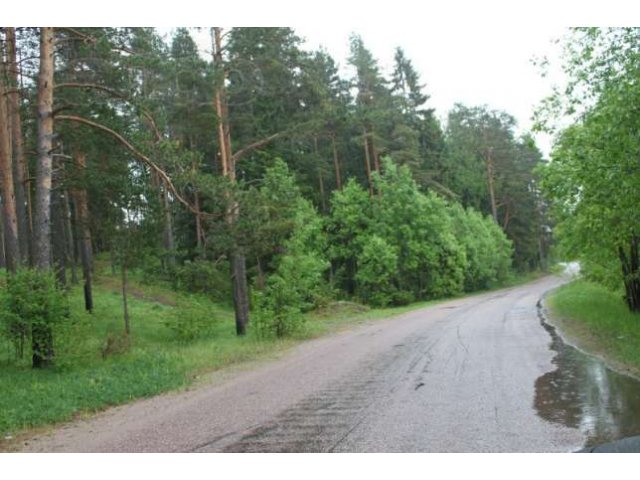 2 ровных, электрифицированных участка, Кротово, Приозерский р-н в городе Санкт-Петербург, фото 1, Ленинградская область