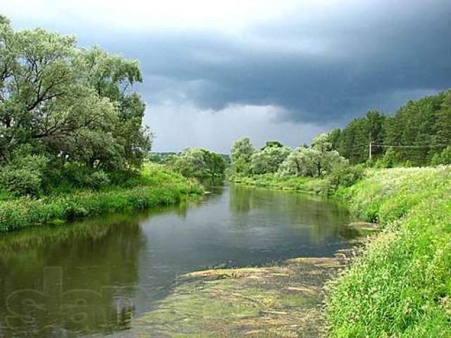 Земельный участок 15500 кв.м. на берегу реки в городе Ефремов, фото 5, Тульская область