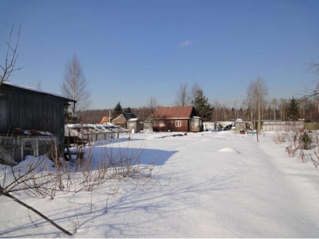 Участок в Никольском в городе Никольское, фото 2, Ленинградская область