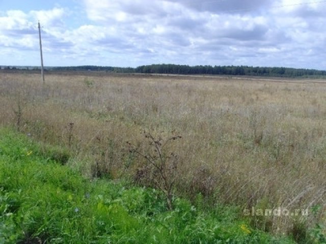 Участки от 500га до 3000га в городе Медынь, фото 2, Калужская область