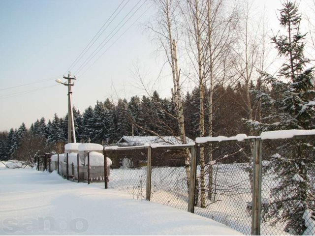 Лесной участок в СНТ Нерощино в городе Дмитров, фото 1, Продажа земли сельхоз назначения