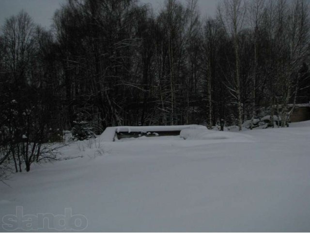 Лесной участок в СНТ Нерощино в городе Дмитров, фото 2, Московская область