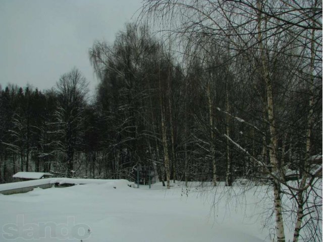 Лесной участок в СНТ Нерощино в городе Дмитров, фото 5, Московская область